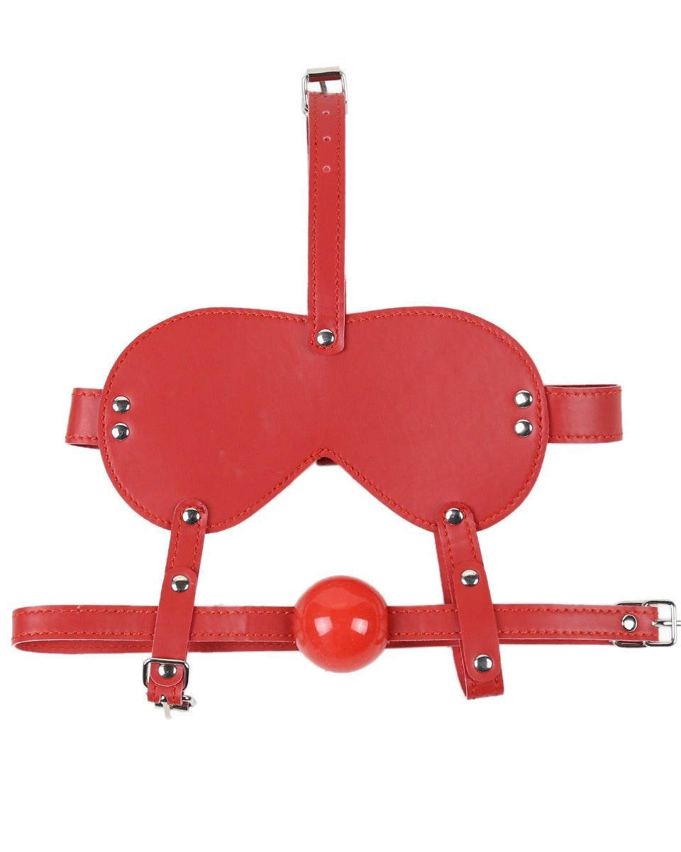 Blind Trust Gag Leather Bondage Mask with Ball Gag & Blindfold